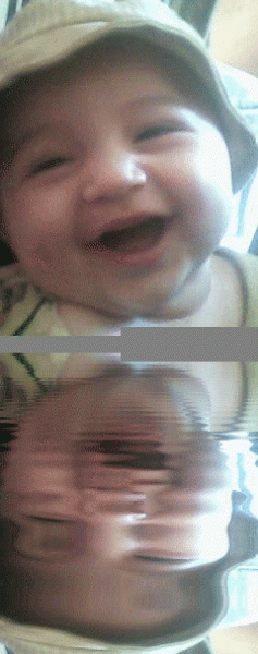 DSC 0000069